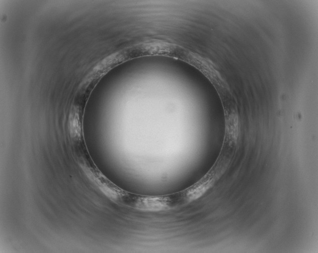 X0000087600622200704271334