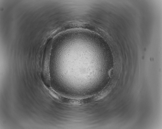 X0000087600624200704271334