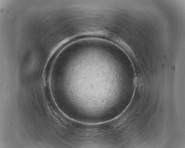 X0000087600628200704271333