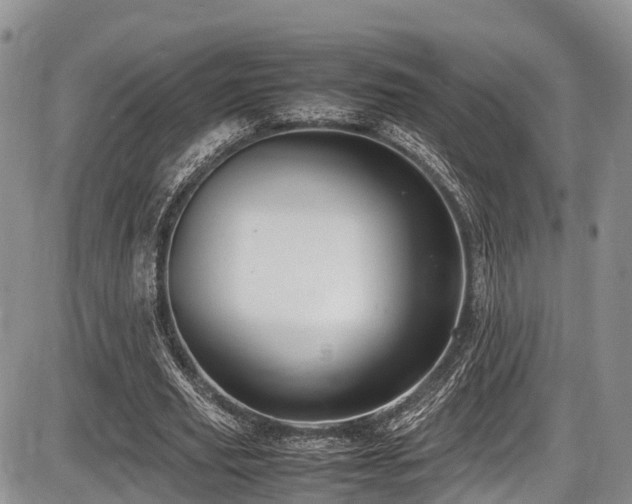 X0000087600629200704271333