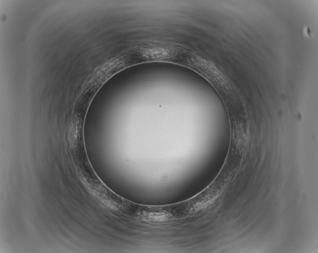 X0000087600645200704271333