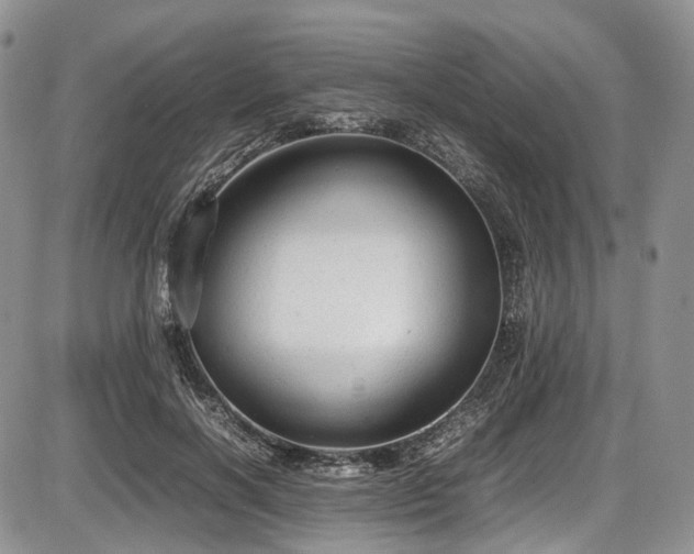 X0000087600646200704271333