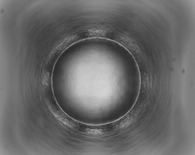 X0000087600649200704271333