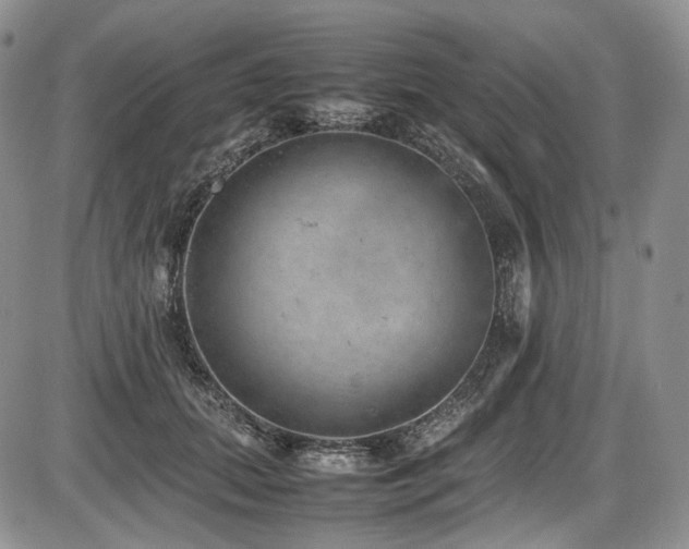 X0000087600655200704271333