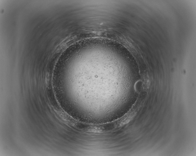 X0000087600656200704271333