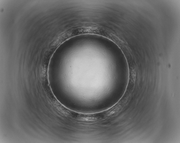 X0000087600657200704271333