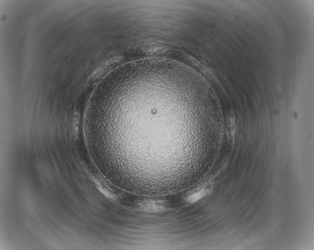 X0000087600664200704271334