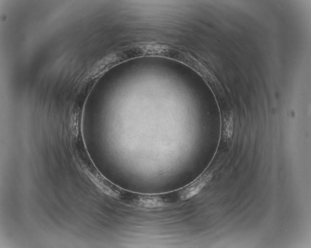 X0000087600666200704271334