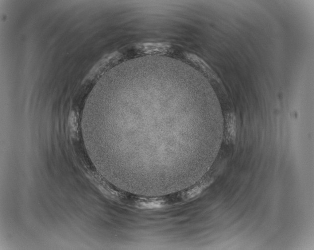 X0000087600667200704271334
