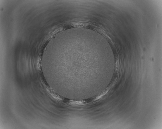 X0000087600671200704271334