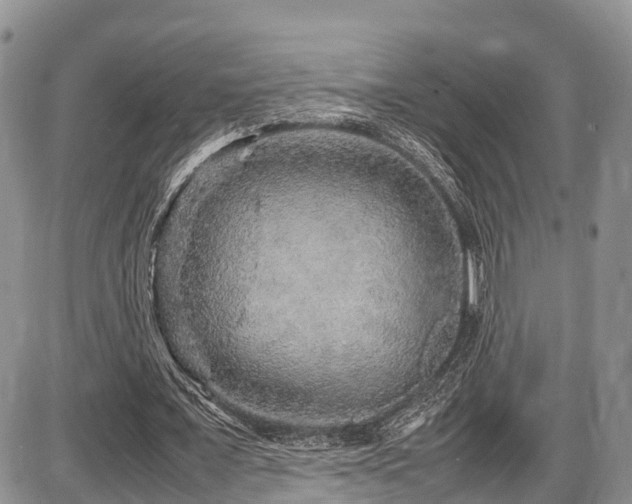 X0000087600675200704271333