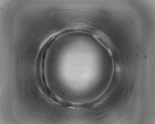 X0000087600676200704271333