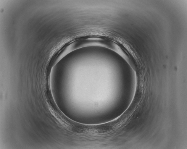 X0000087600677200704271333