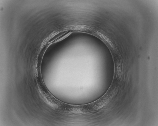 X0000087600682200704271333