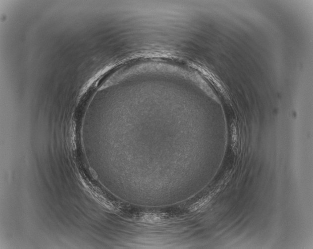 X0000087600684200704271333