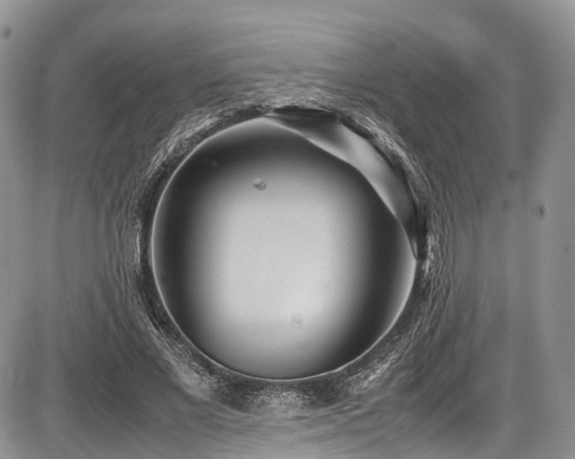 X0000087600685200704271333