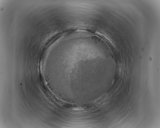 X0000087600692200704271333