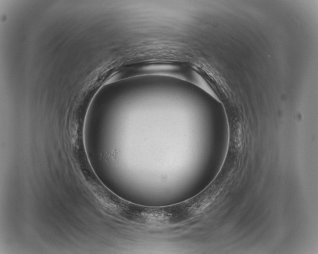 X0000087600693200704271333