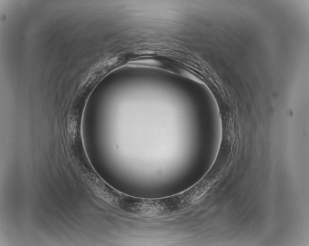 X0000087600697200704271332