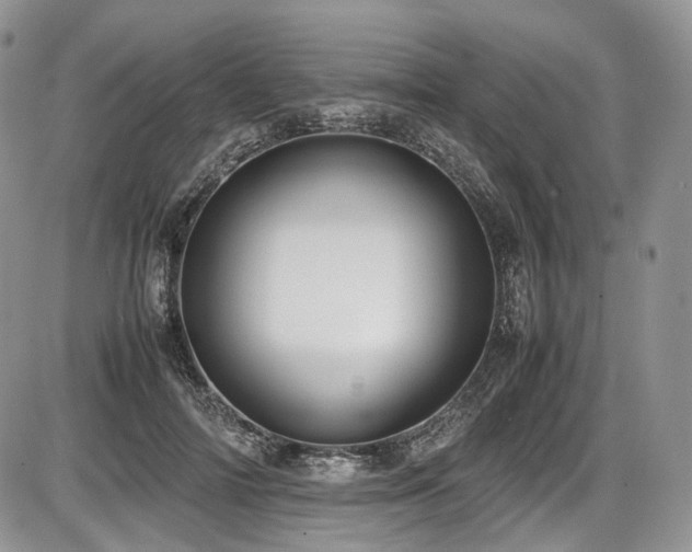 X0000087600698200704271332