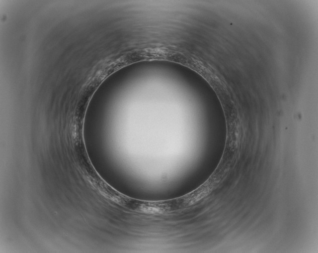 X0000087600706200704271332