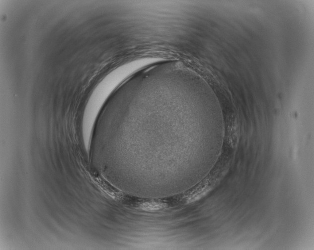 X0000087600708200704271332