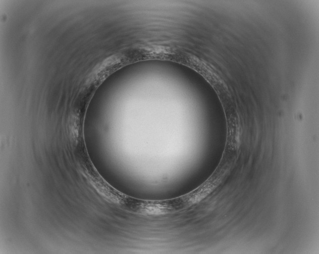 X0000087600710200704271332
