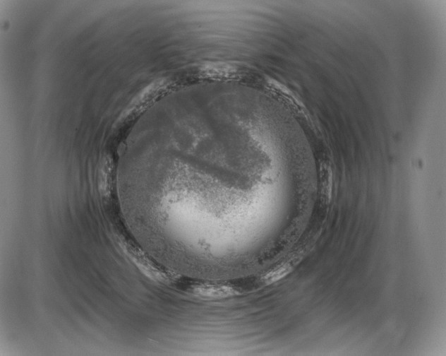X0000087600712200704271332