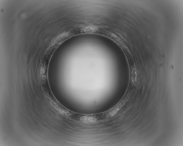 X0000087600714200704271332