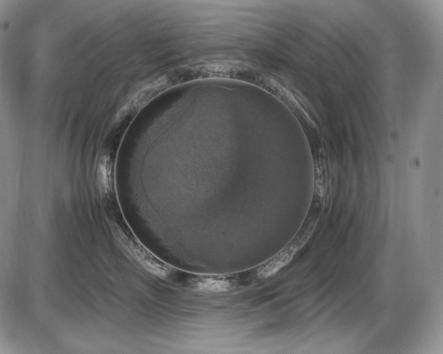 X0000087600718200704271332