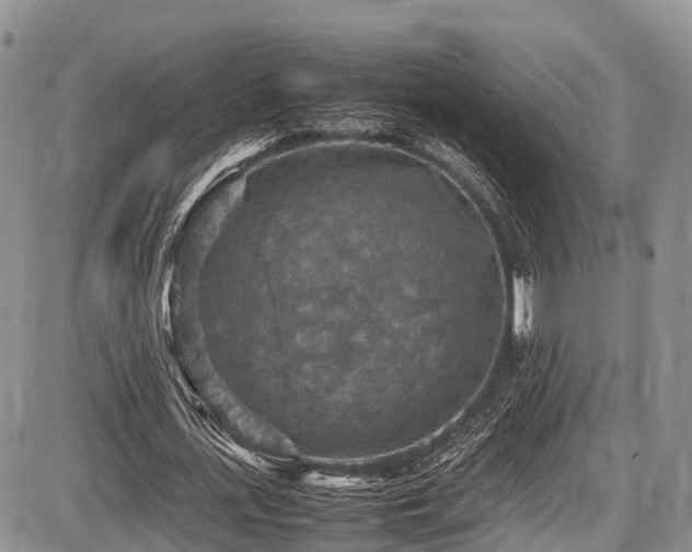 X0000087600723200704271331