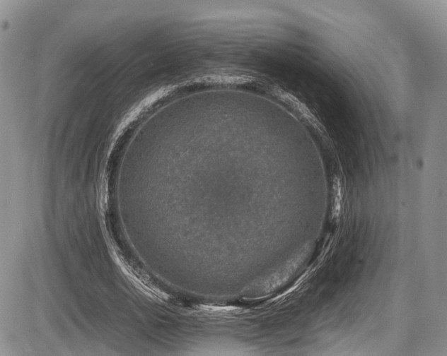 X0000087600726200704271331