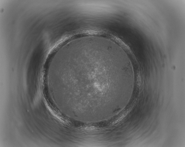 X0000087600730200704271331