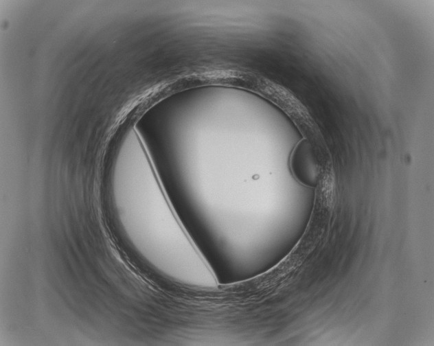 X0000087600732200704271331