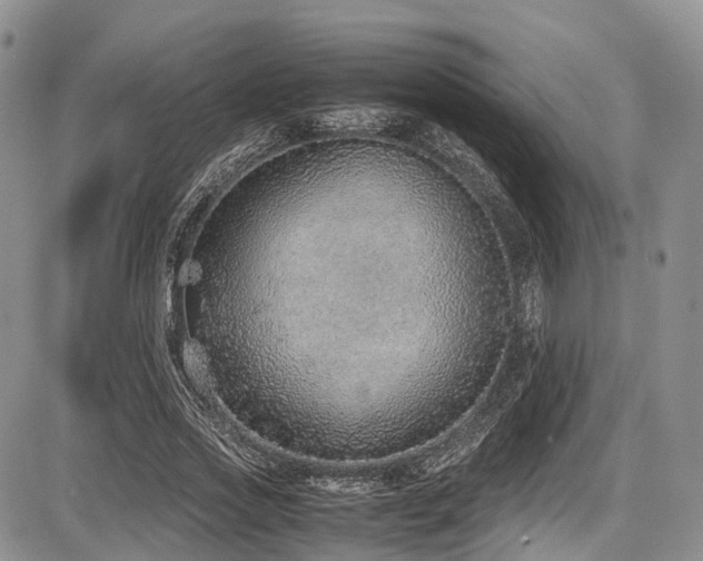 X0000087600733200704271332