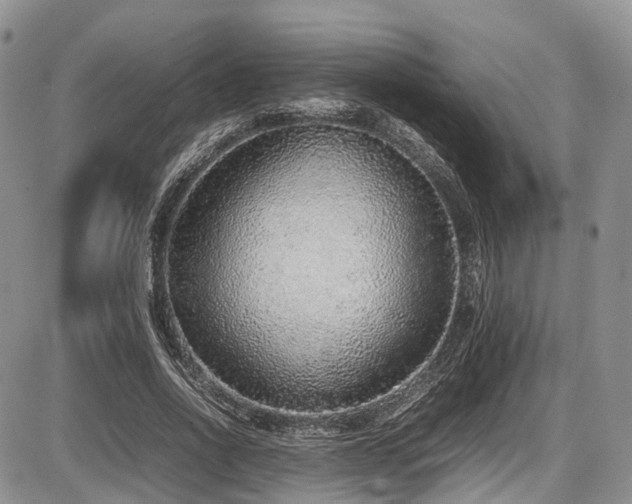 X0000087600734200704271332