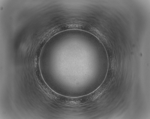 X0000087600737200704271332