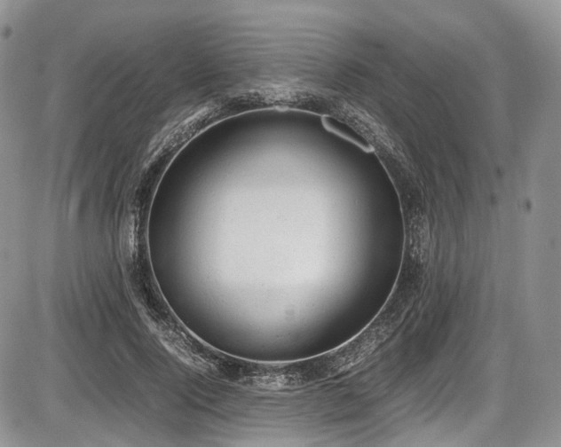 X0000087600740200704271332