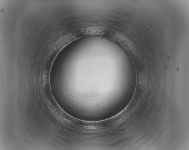 X0000087600741200704271332