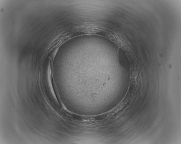 X0000087600744200704271332