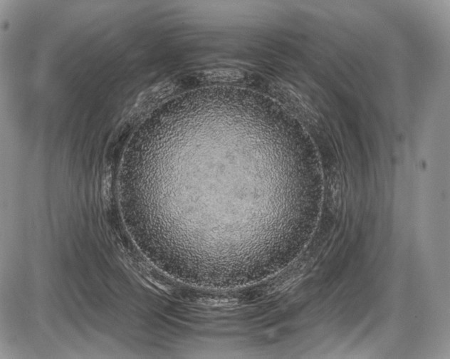 X0000087600745200704271332