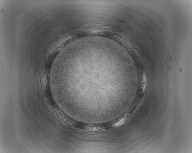X0000087600746200704271332