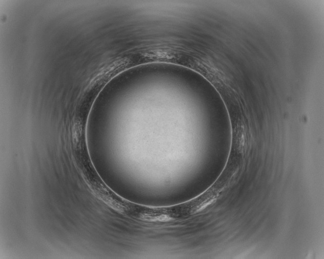 X0000087600747200704271332