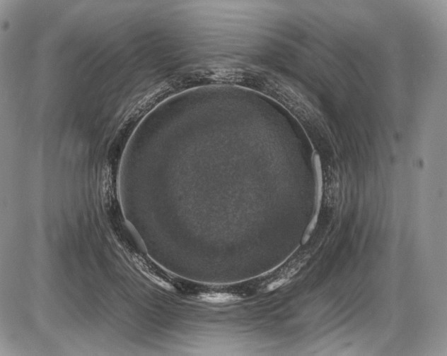 X0000087600748200704271332