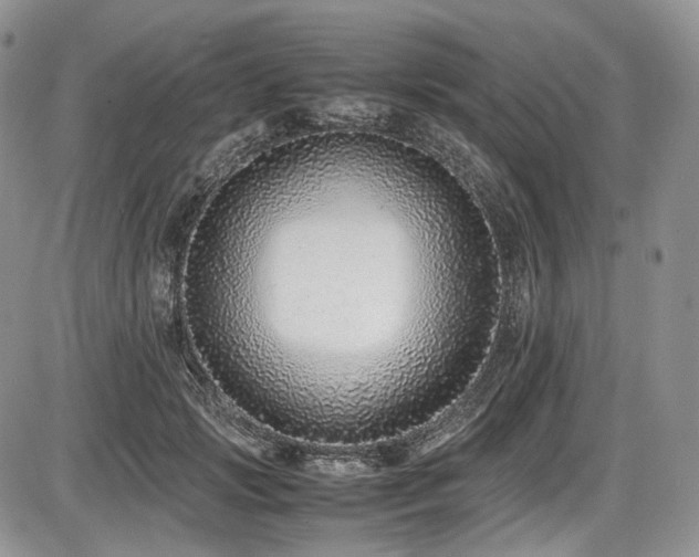 X0000087600749200704271332