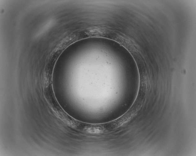 X0000087600751200704271332
