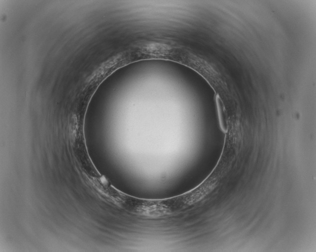 X0000087600752200704271332