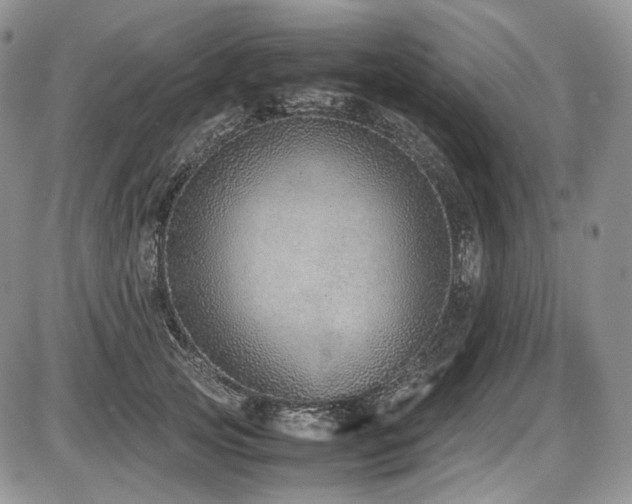 X0000087600753200704271332