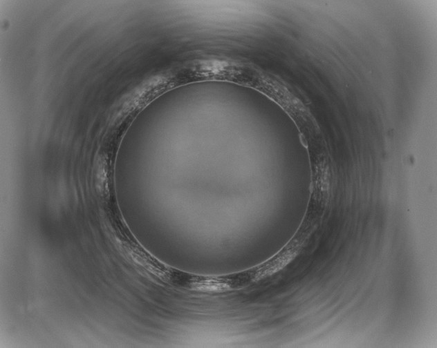 X0000087600754200704271332