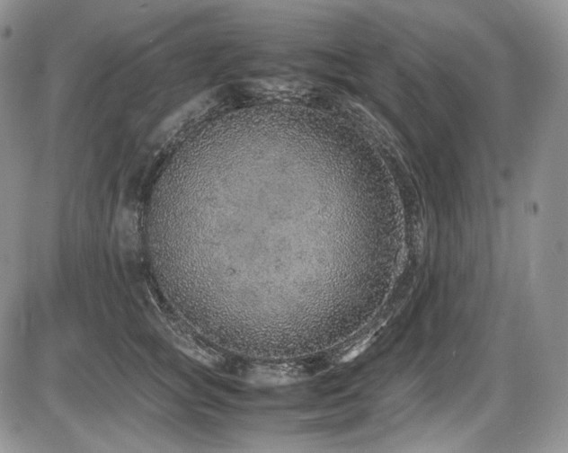 X0000087600757200704271332
